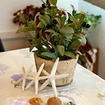 Appartement Suzy Supetarska Draga