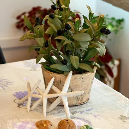 Apartment Suzy Supetarska Draga