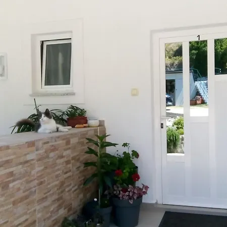 Apartament Suzy *