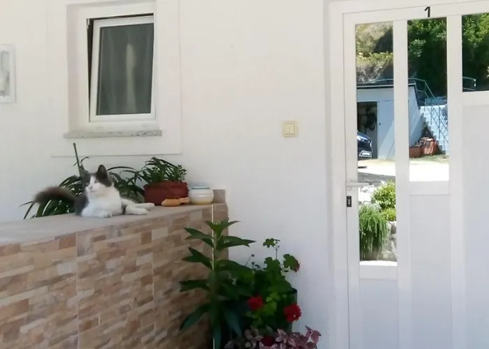 Apartmán Suzy *